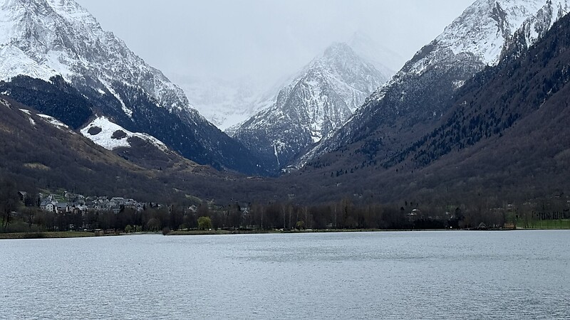 Карта
