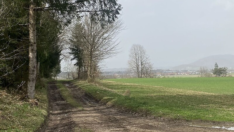 Карта