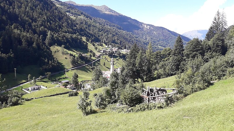 Карта