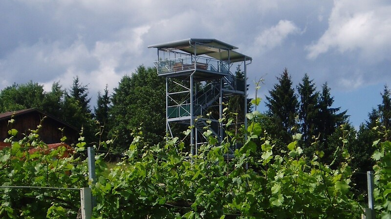 Карта
