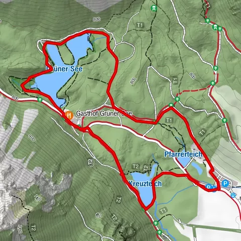 Rund um den Grünen See