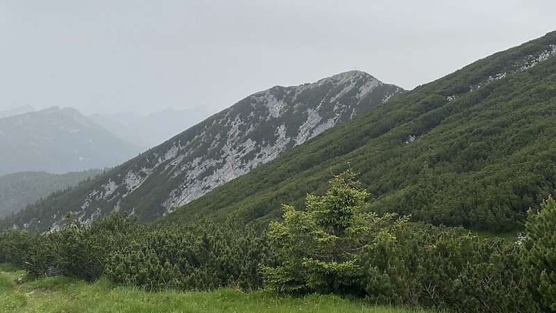 Карта
