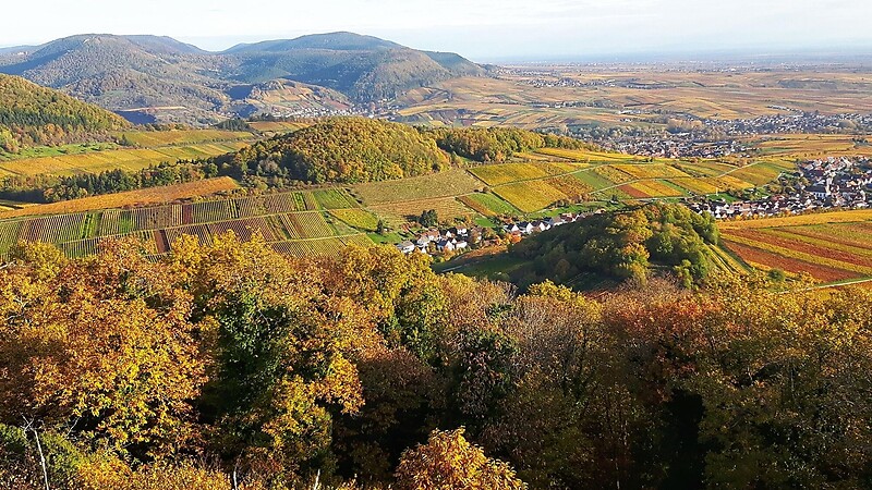 Карта