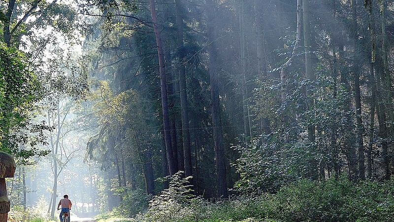 Карта