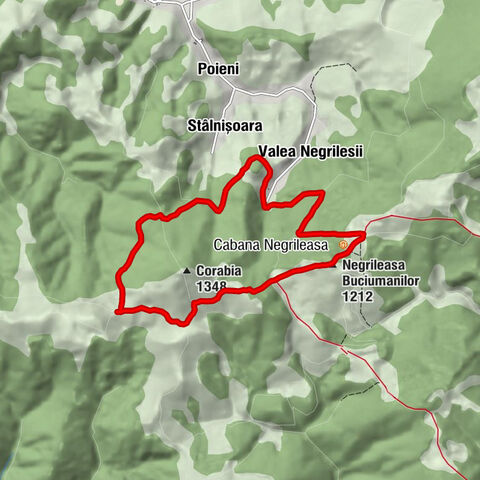 Negrileasa Buciumanilor - Stâlnișoara - Valea Negrilesii - Bucium