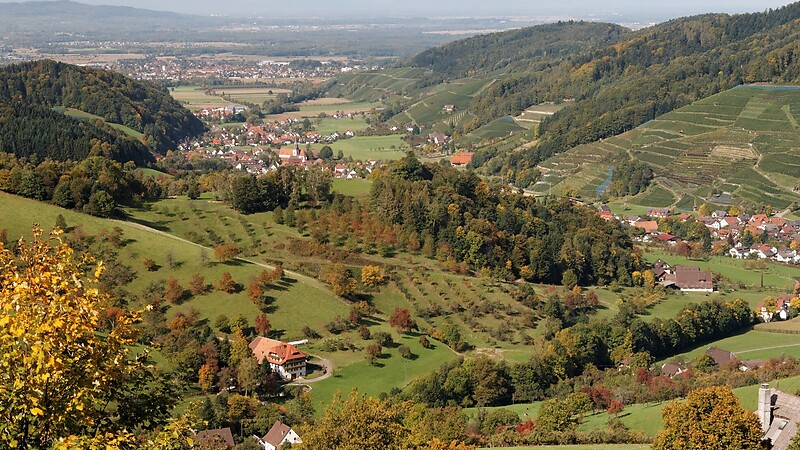 Карта