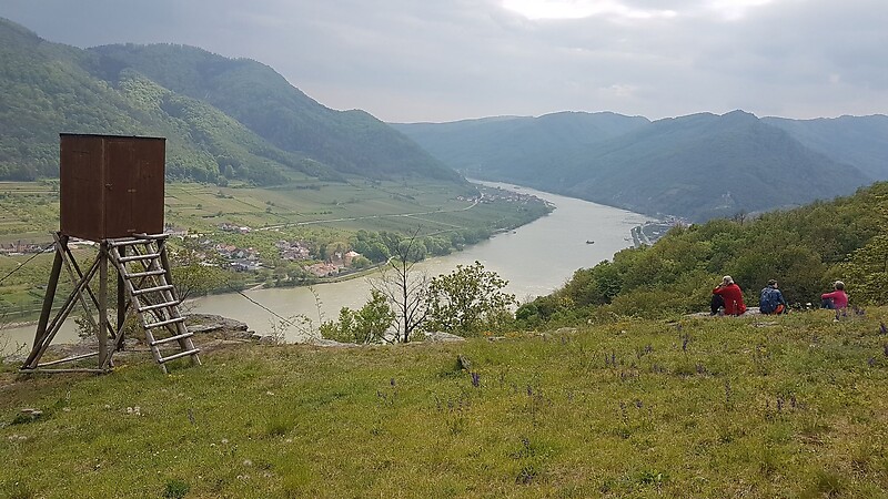 Карта