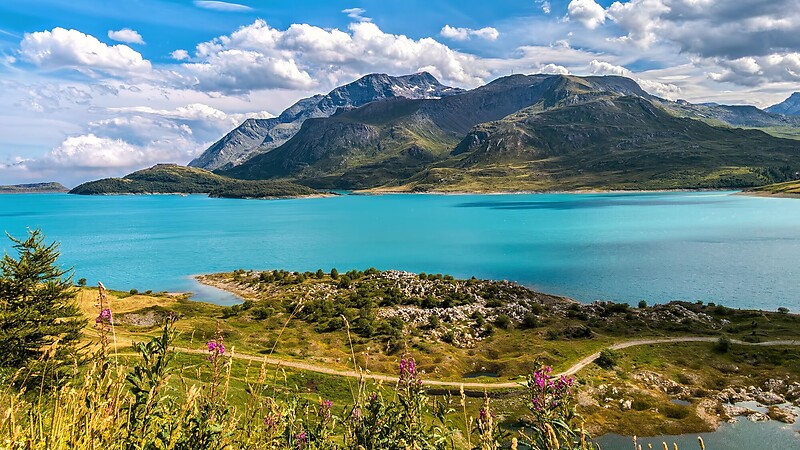 Карта