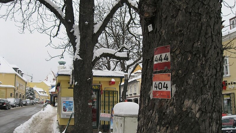 Карта