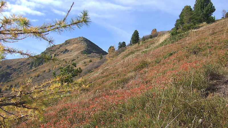 Карта