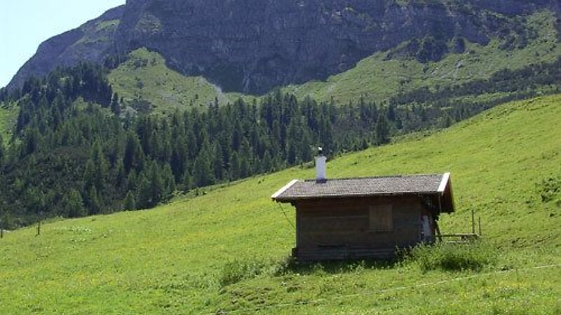 Карта