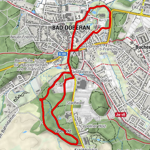 Bad Doberan - Amerikagehölz - Quellholz