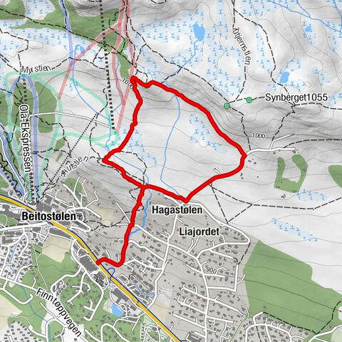Beitostølen - Liajordet - Hagastølen - Øystre Slidre