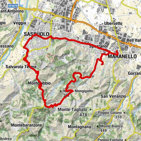 Sassuolo - Sarsa di Montegibbio - Il Monticello - Il Caminetto