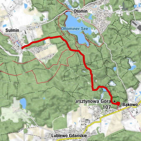 powiat gdański - Bursztynowa Góra - Bąkowo