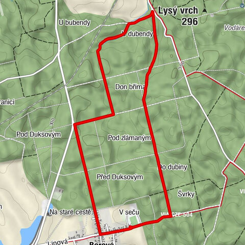 Borová - Zbojnička