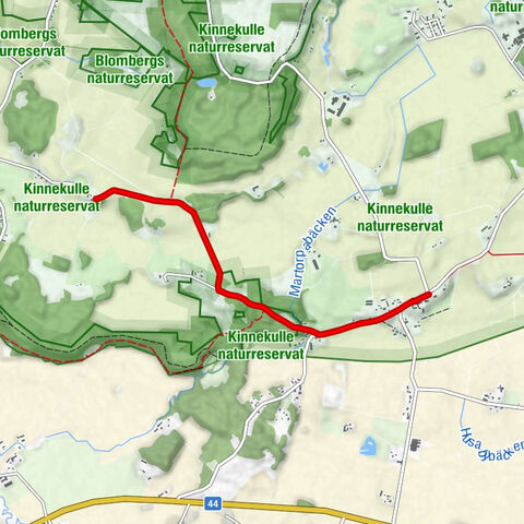 Husaby kyrka - Husaby - Gum