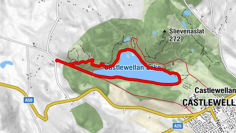 Castlewellan