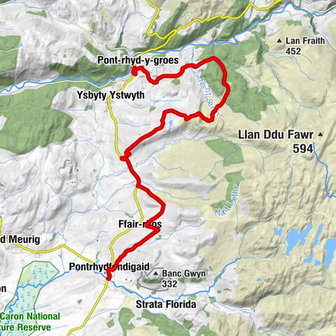 The red kite cabin - Pont-rhyd-y-groes - Tanyrhydiau - Pontrhydfendigaid