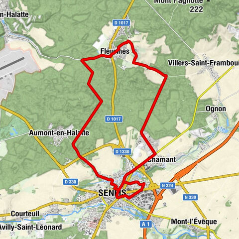 Senlis - Église Saint-Gilles - Fleurines