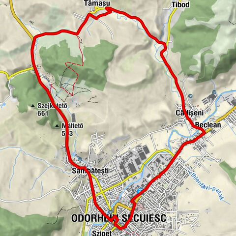 Tămașu - Biserica Ortodoxă „Sf. Împ. Constantin și Elena” - Biserica franciscană „Sf. Ap. Petru și Pavel” - Biserica reformată I