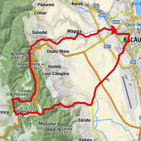 Bacău - Măgura - Sohodol - Petricica Est