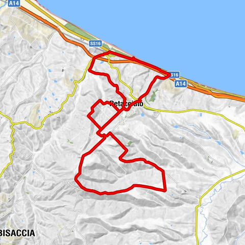 Petacciato - Petacciato - Montenero - La Pineta