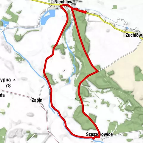 Niechlów - Szaszorowice - Żabin