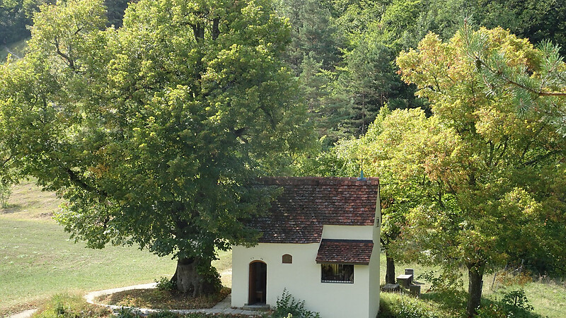 Карта