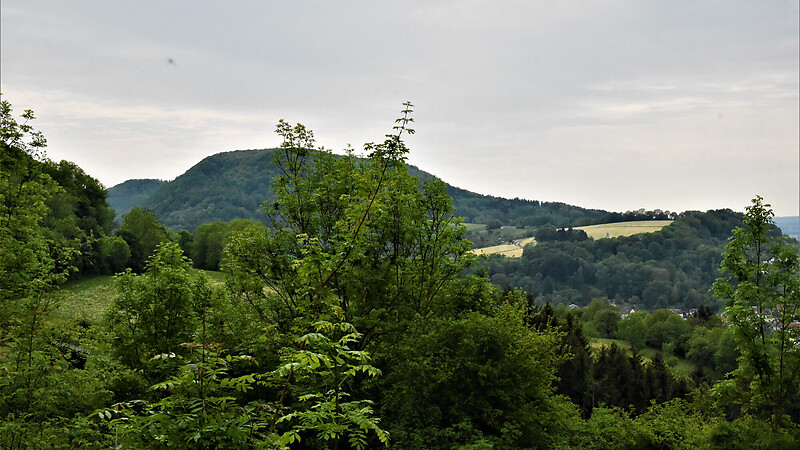 Карта