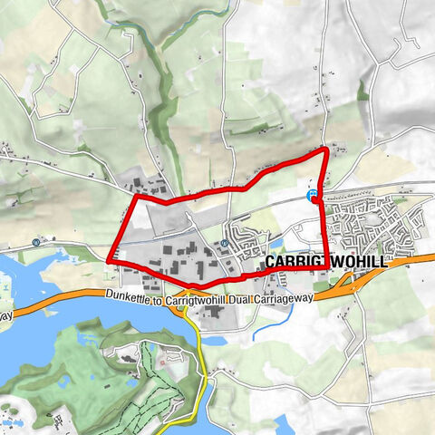 Carrigtwohill - Botanic Home & Garden - St.Marys Church