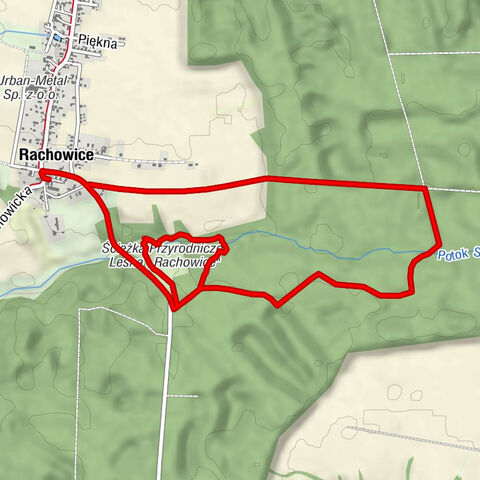 Kościół św. Trójcy - Rachowice