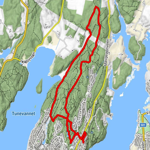 Sarpsborg - Appelsintoppen