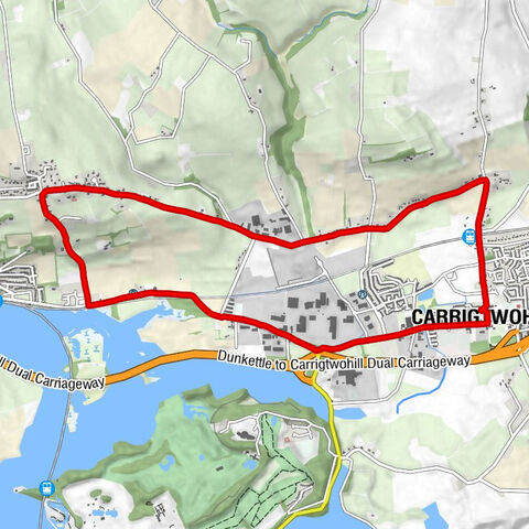 Carrigtwohill - The Elm Tree - Botanic Home & Garden - St.Marys Church