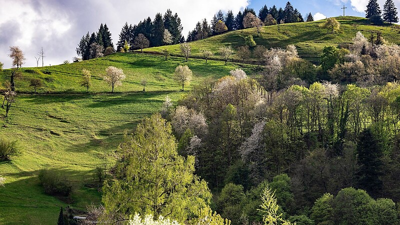 Карта