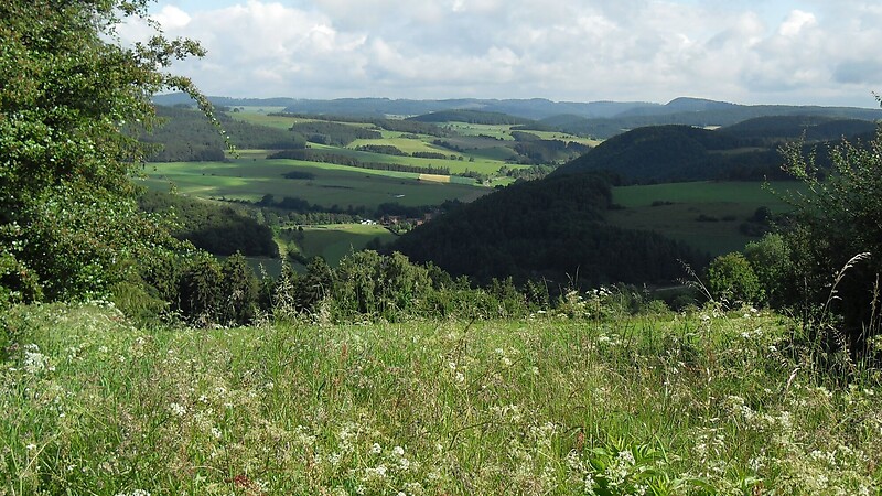 Карта