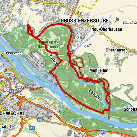 Карта