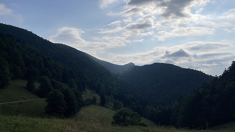 Карта