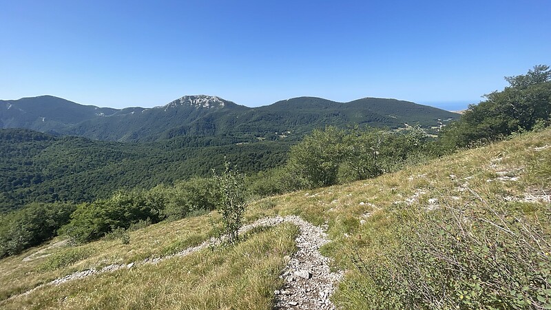 Карта