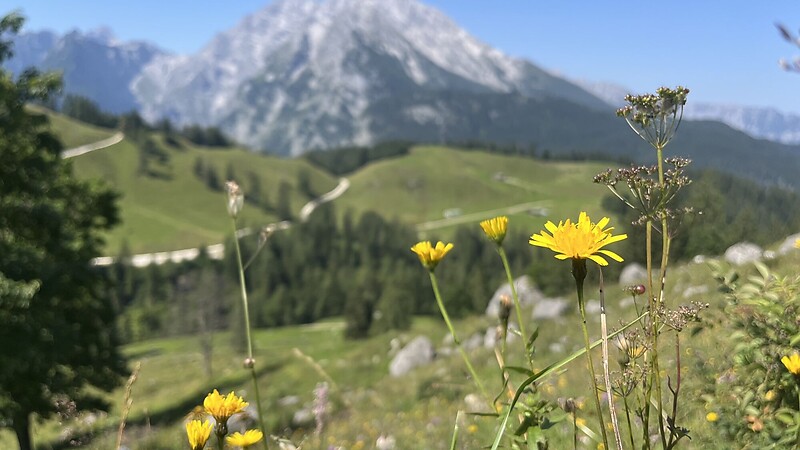 Карта