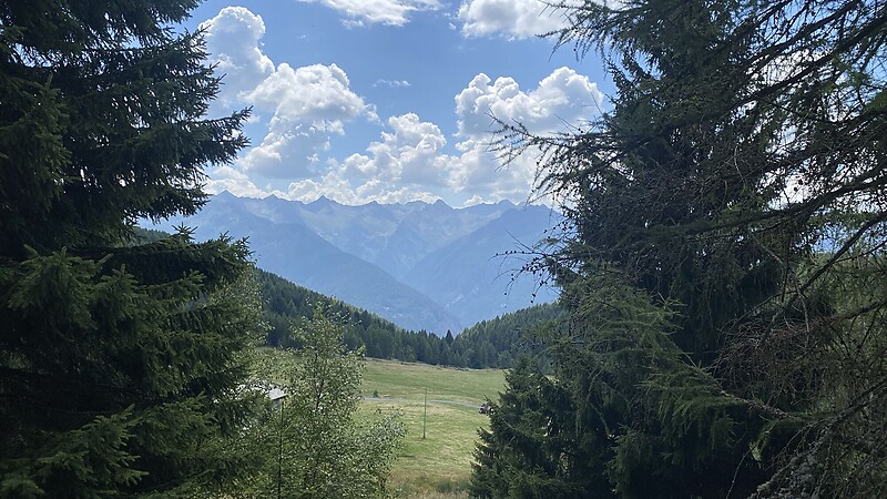 Карта