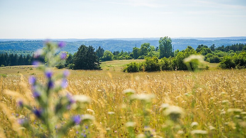 Карта
