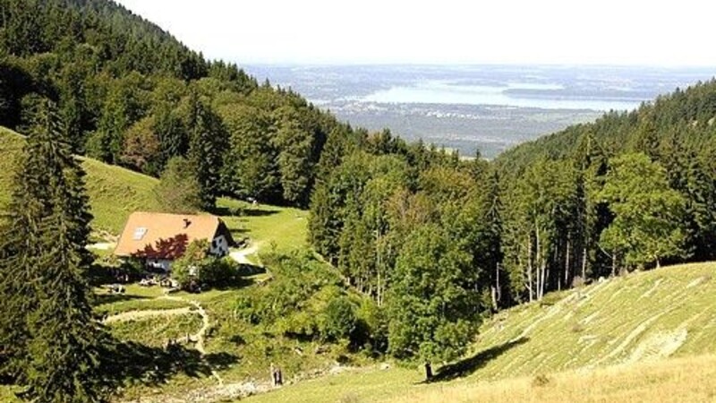 Карта