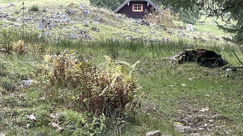 Карта