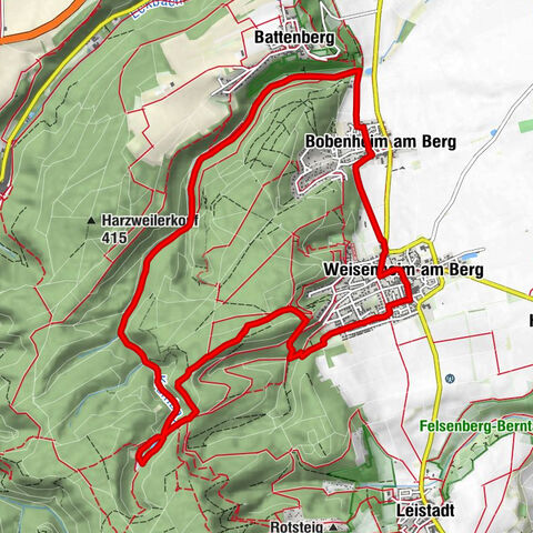 Circular route through forest and vineyard: Weisenheim am Berg - "Wine, Forest, Ungeheuer"