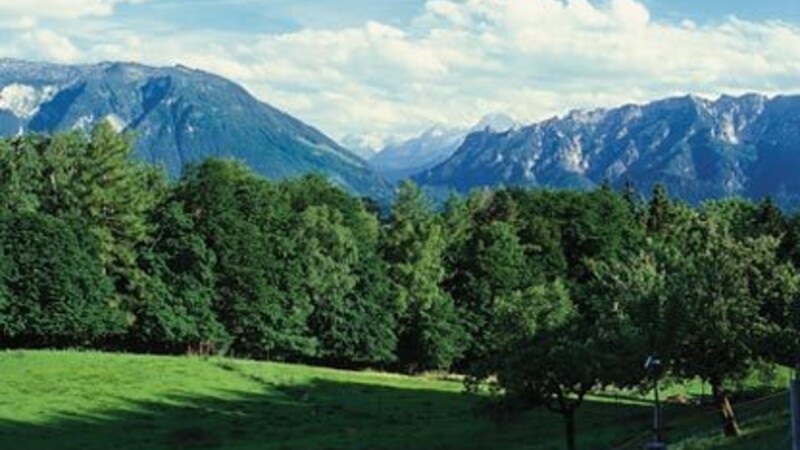 Карта