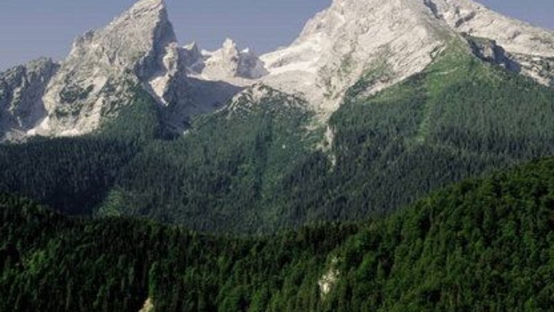 Карта