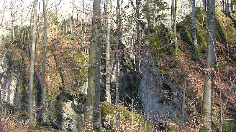 Карта