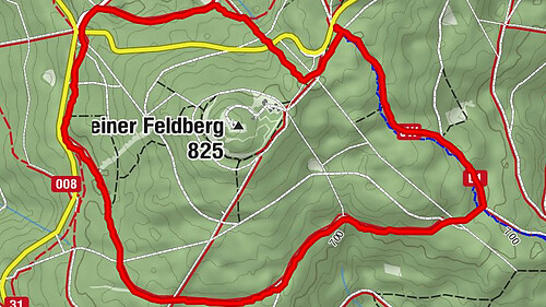 Eichhörnchenrunde - Glashütten, Deutschland