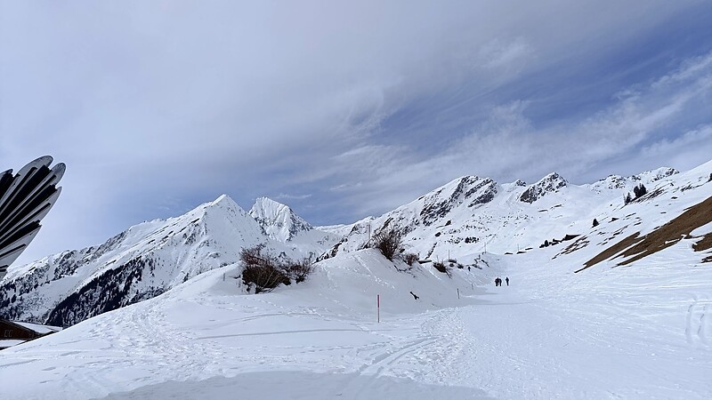Карта